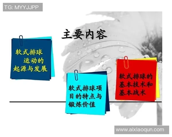 杭州排球队的战术创新与控制体系解析探讨