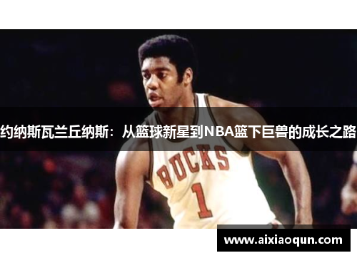 约纳斯瓦兰丘纳斯：从篮球新星到NBA篮下巨兽的成长之路